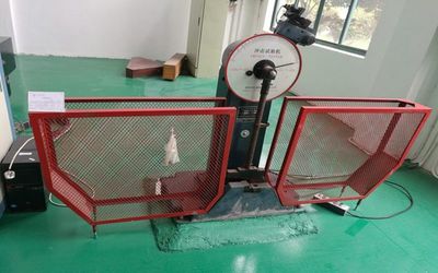Shanghai Future orthopedic instrument Co., Ltd